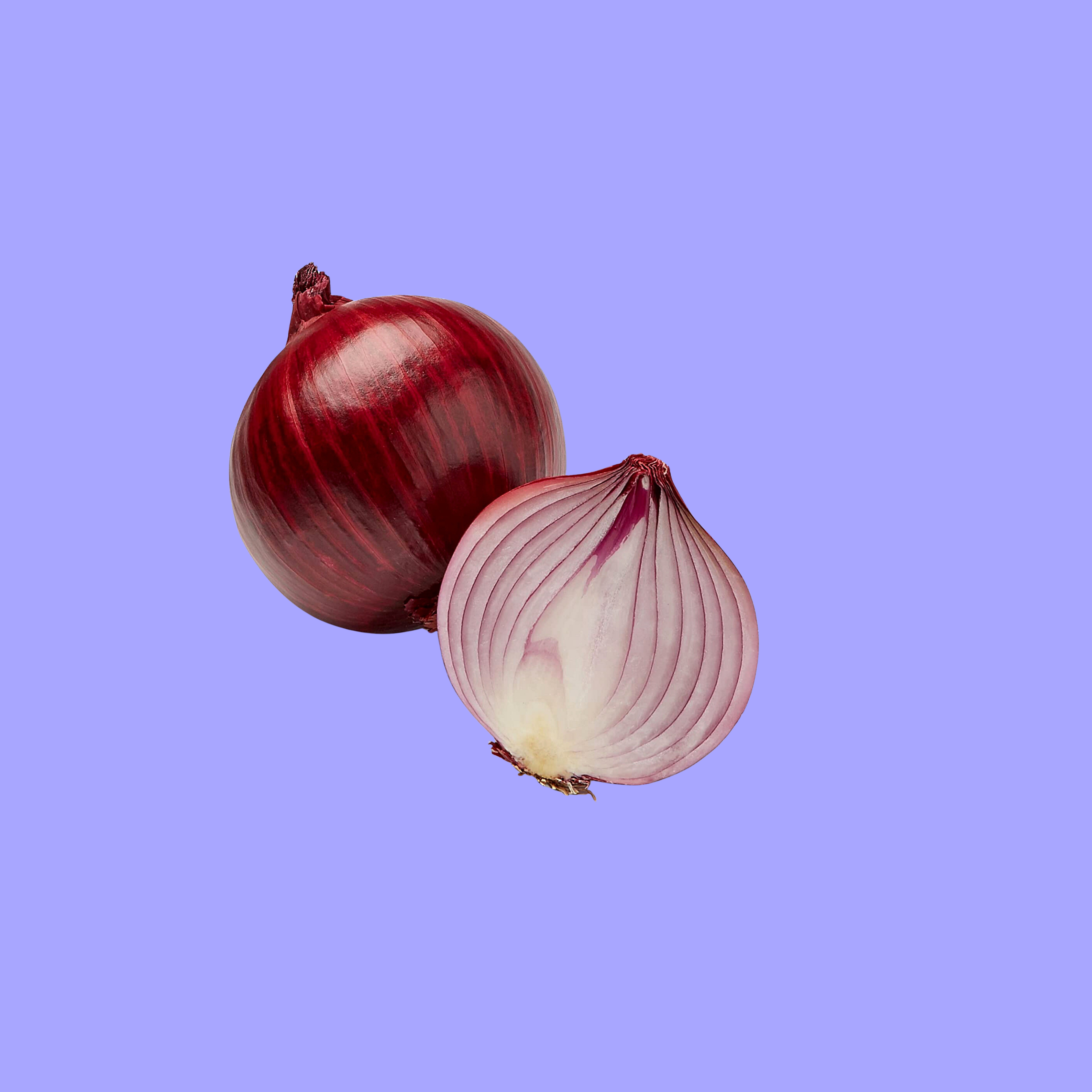 RED ONION