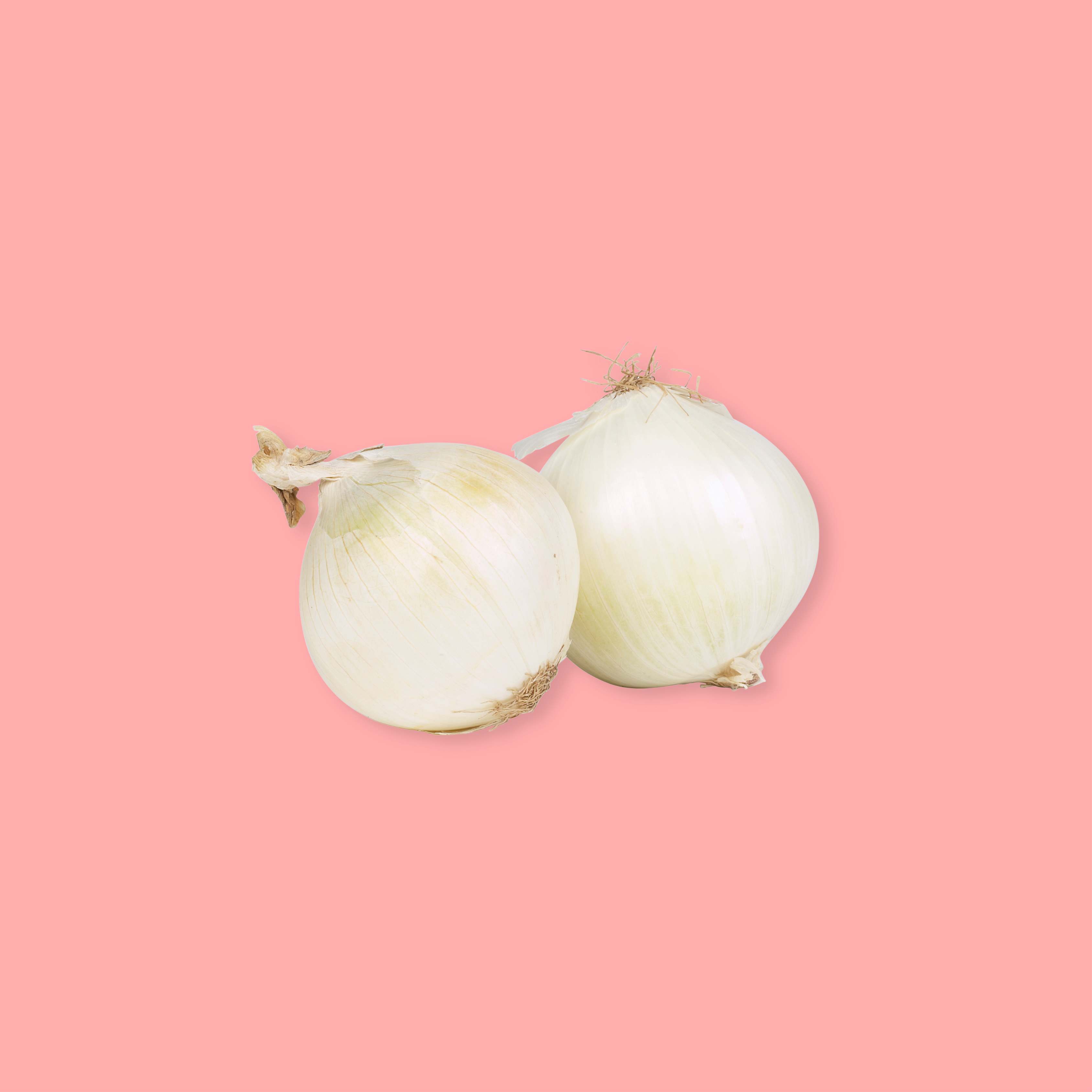 WHITE ONION