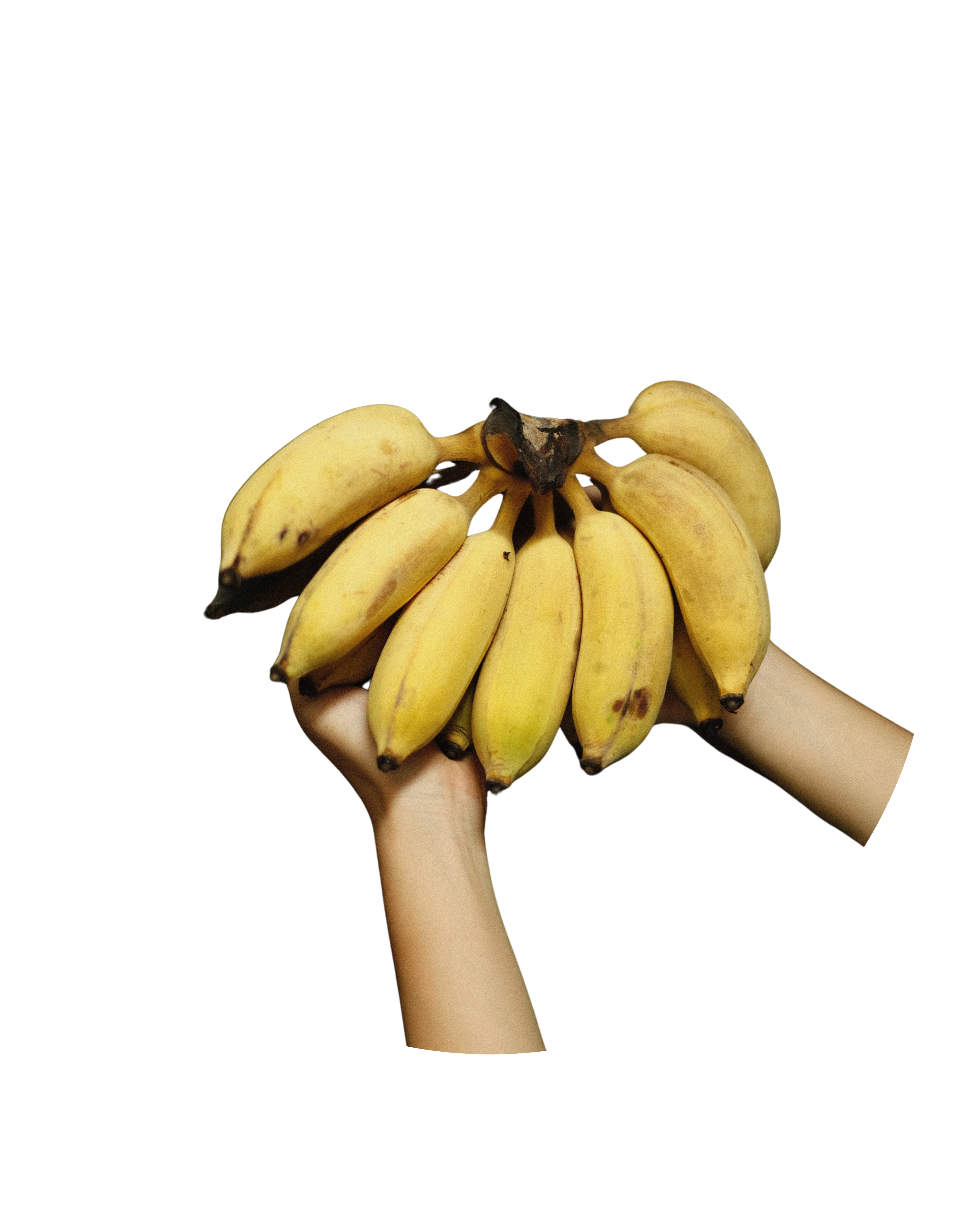 Hand Picked
